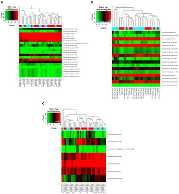 MicroRNA Profiles in Normotensive and Hypertensive South African Individuals